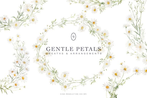 Download Watercolor Daisy Wreath Collection - Daisy wreath Collection