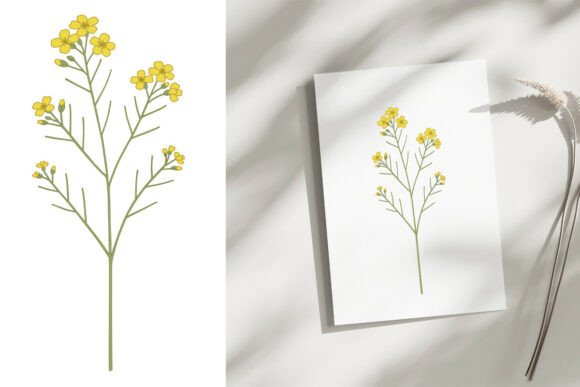 Download Minimal Yellow Flower Botanical PNG - Yellow flower Collection