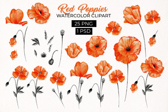 Download Red Poppies Floral Design Elements - Design elements Collection