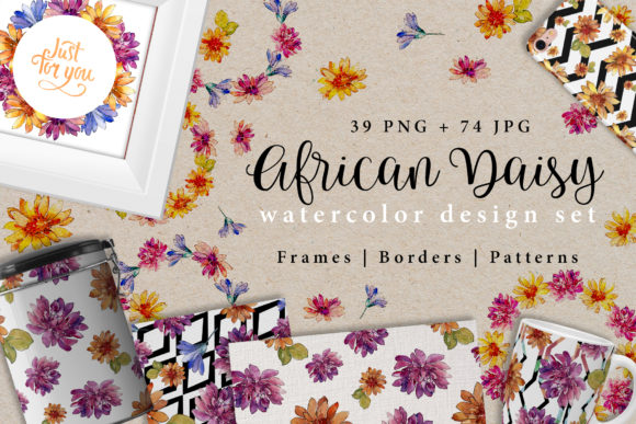 Download African Daisy Watercolor Design Set - Design Collection